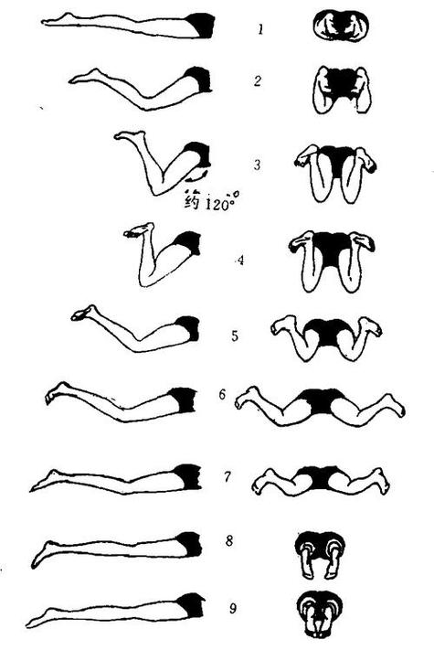 什么泳姿最减肥