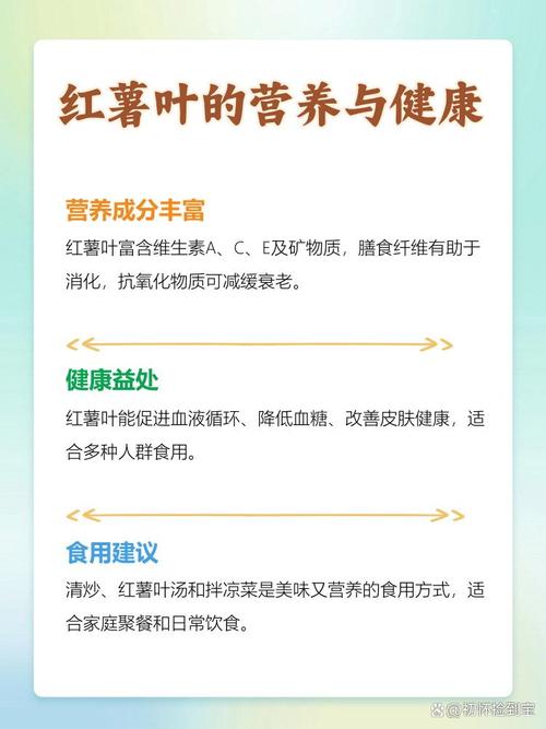 红薯叶有什么作用