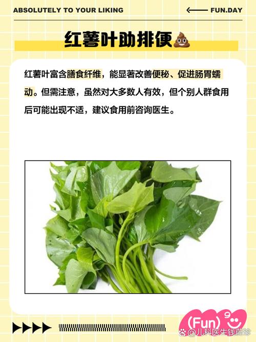 红薯叶有什么作用