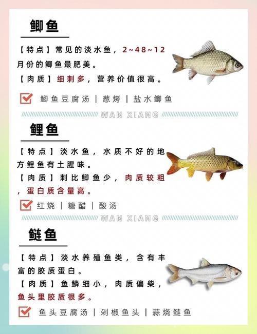 什么鱼吃了能减肥吗