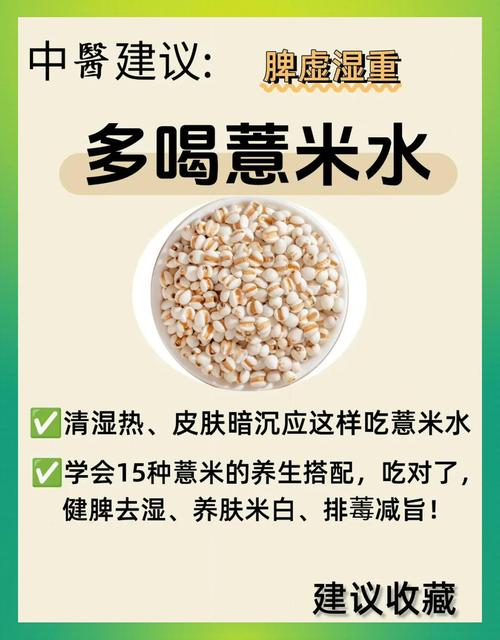 什么时候喝薏米水减肥法