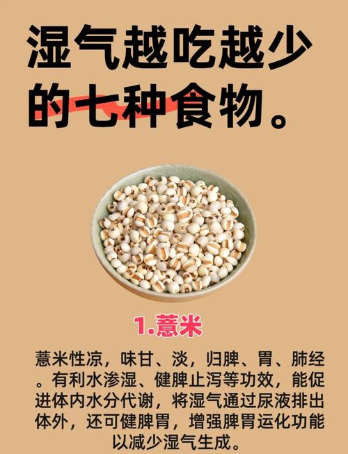 什么时候喝薏米水减肥法