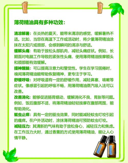 什么精油有减肥功效与作用点