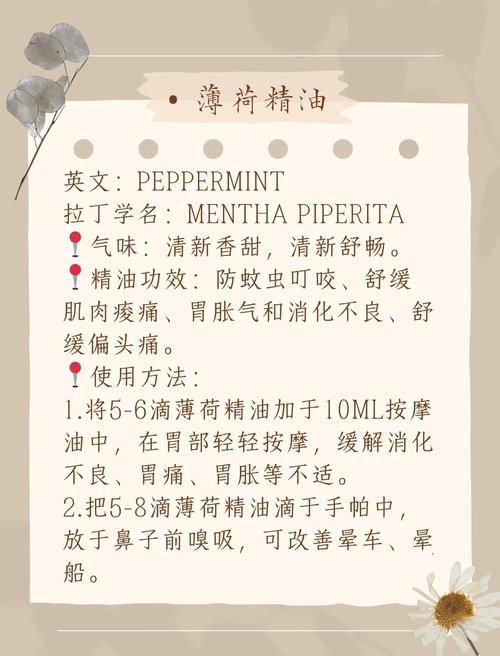 什么精油有减肥功效与作用