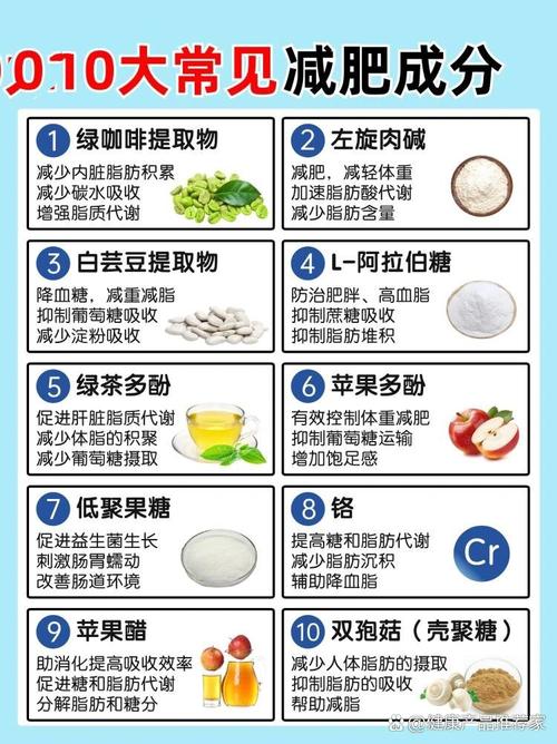 什么成分减肥功效好