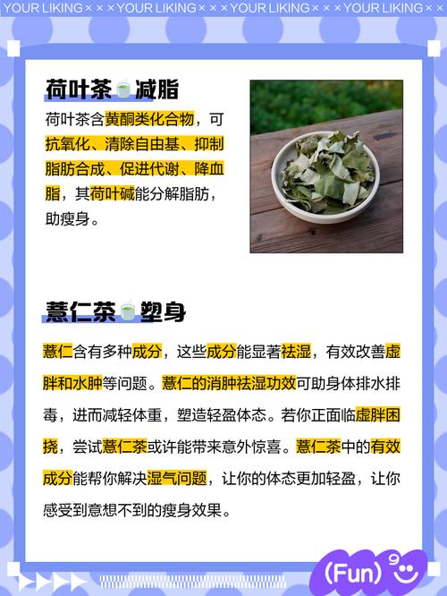 女生喝什么茶好还减肥吗