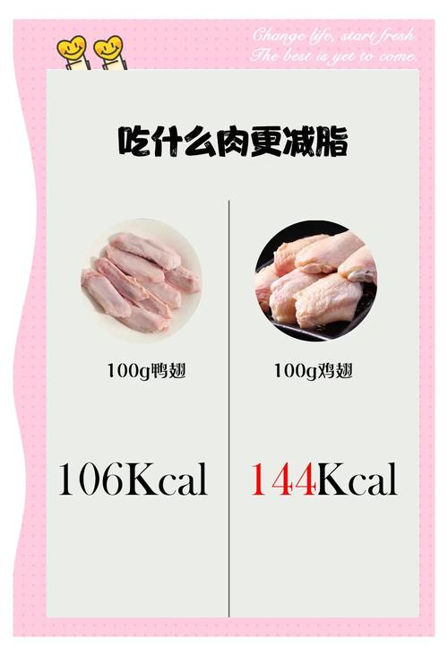 减肥可以吃什么肉类