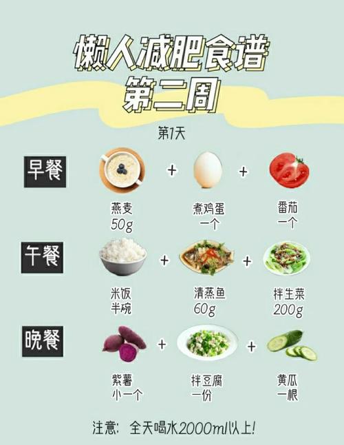 每天吃什么饭能减肥