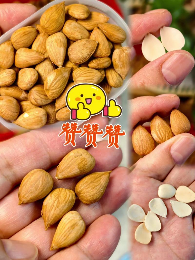 杏仁又叫什么