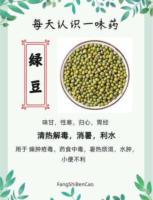 绿豆为什么能减肥吗
