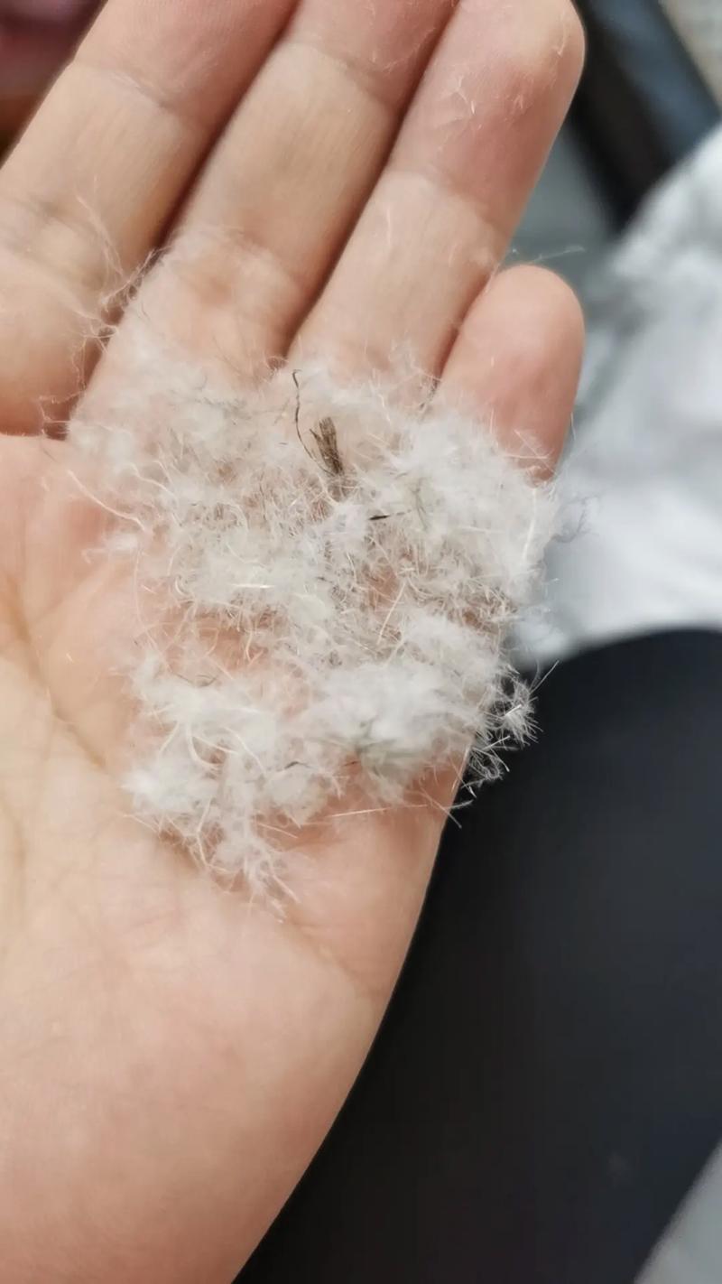 羽绒服里面是什么绒