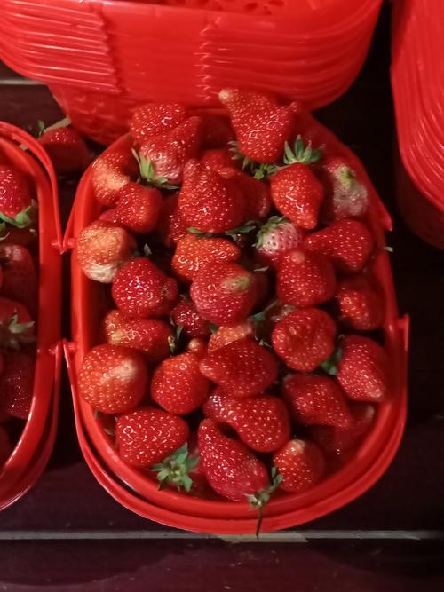 冬天适合卖什么水果