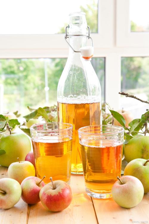 减肥喝什么苹果醋好