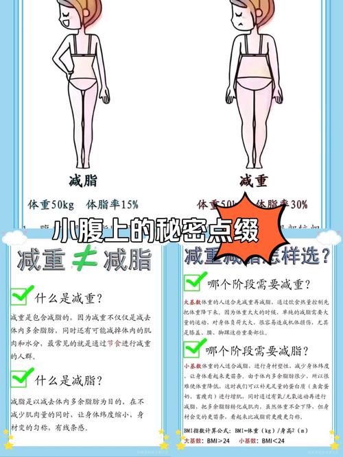 减肥跟什么有关系吗