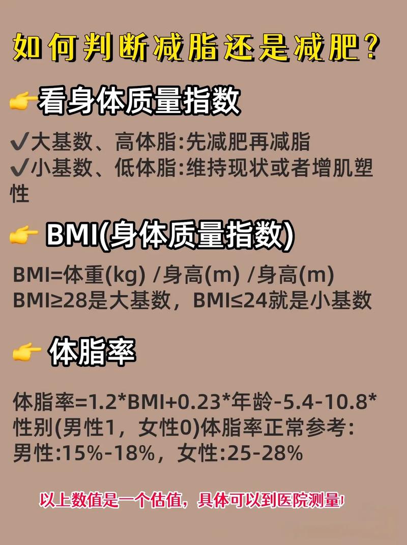 减肥跟什么有关系