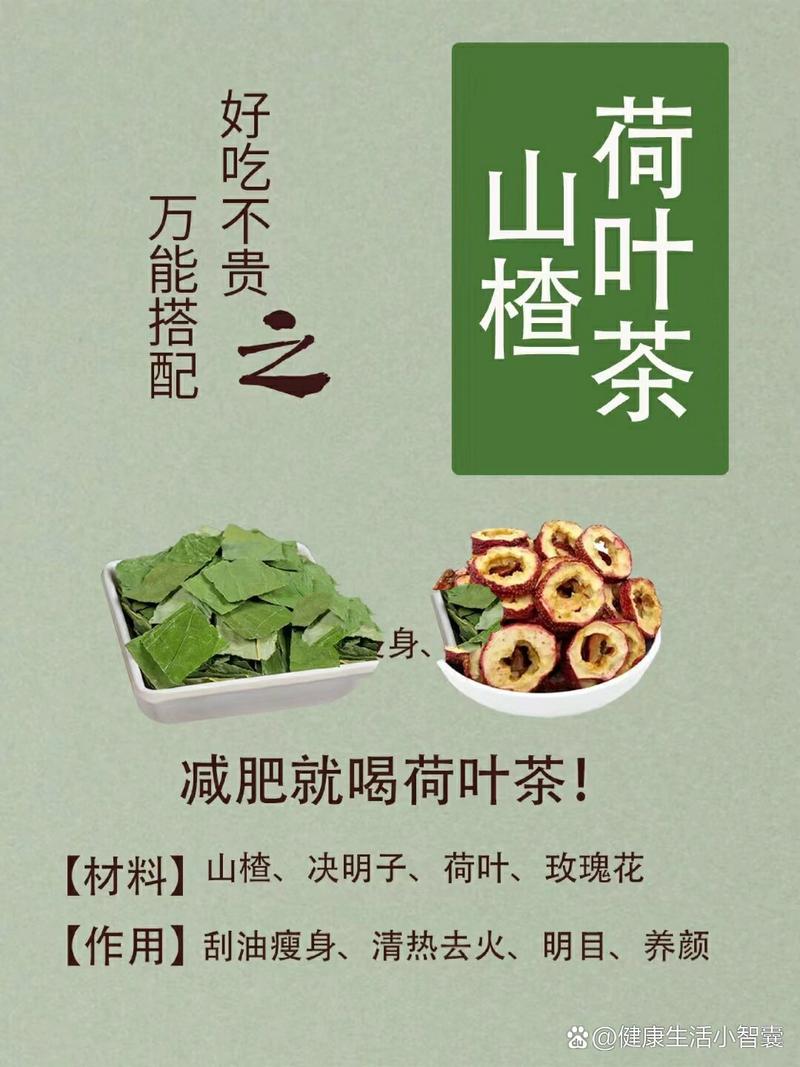 荷叶与什么泡水喝减肥效果好