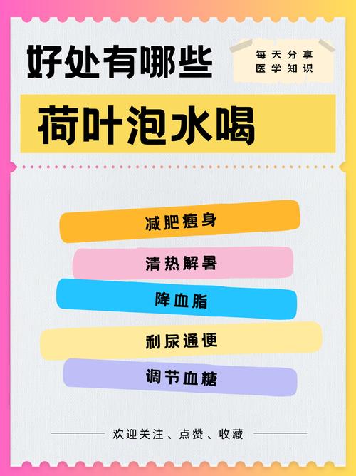 荷叶与什么泡水喝减肥