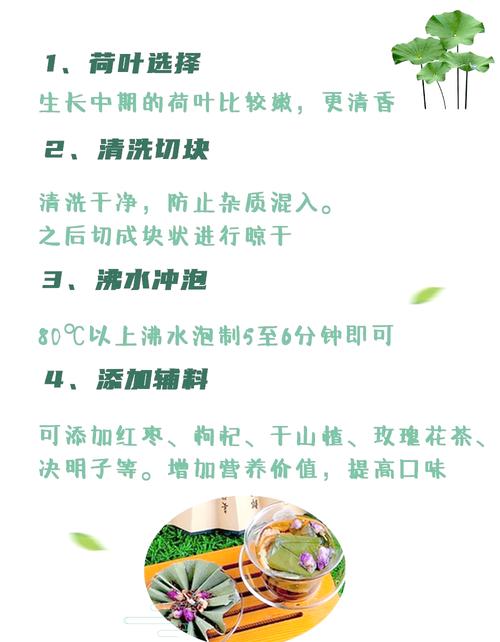 荷叶泡什么茶减肥效果好