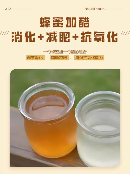 蜂蜜配什么醋减肥效果最好