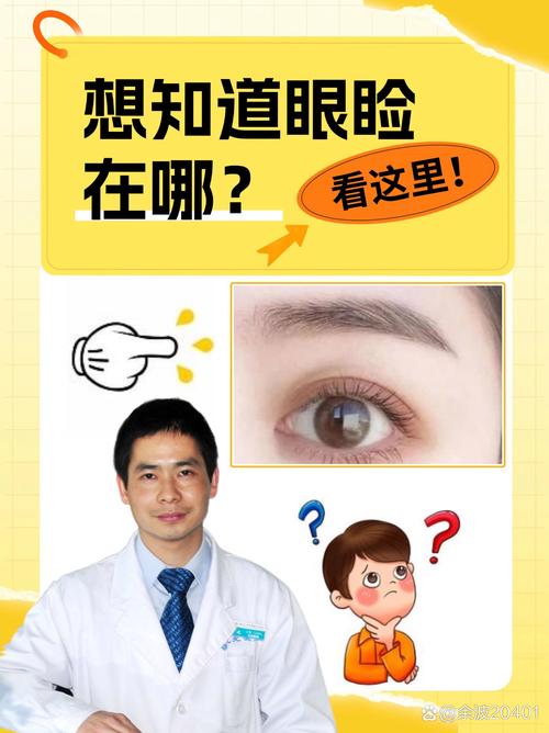 眼睑是什么位置