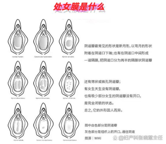 女生的第一次是什么