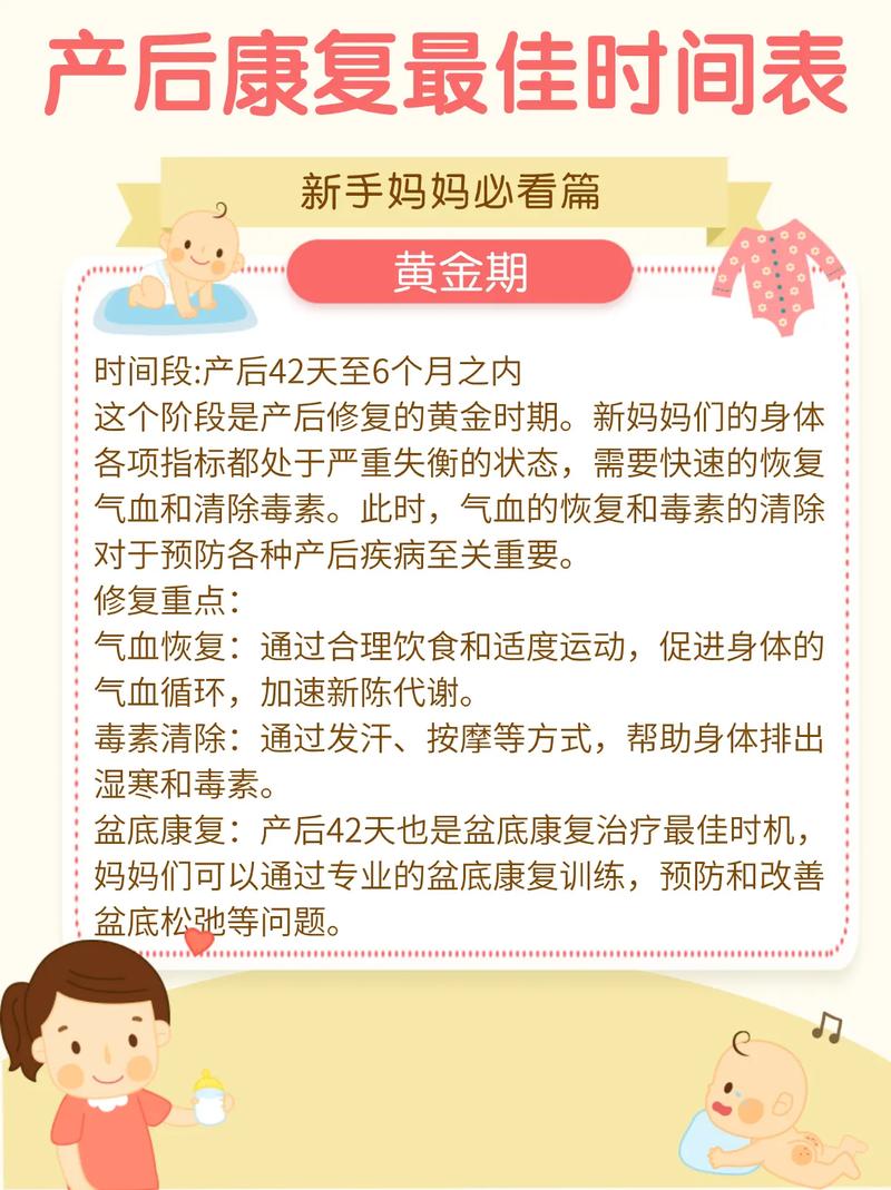 产后减肥报什么班好