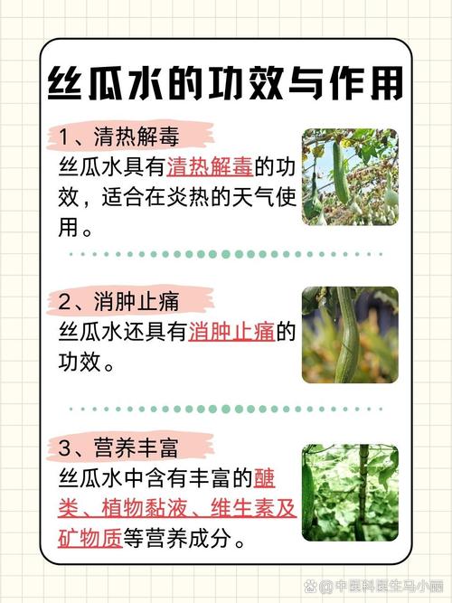 丝瓜煮水有什么功效