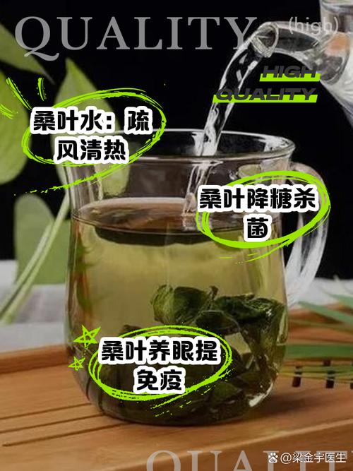 什么叶泡水减肥