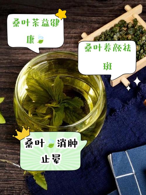 什么叶泡水减肥