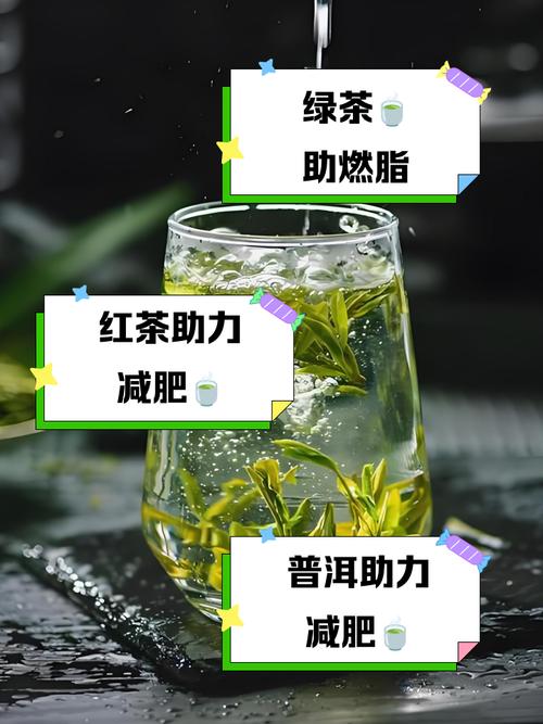 什么时候喝茶叶减肥