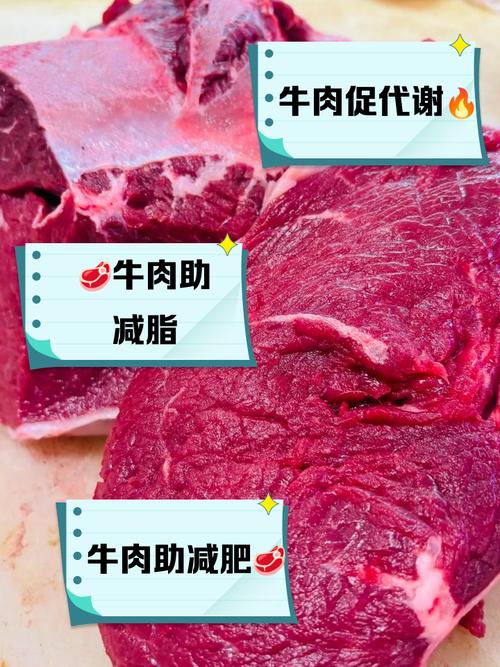 减肥为什么吃牛肉