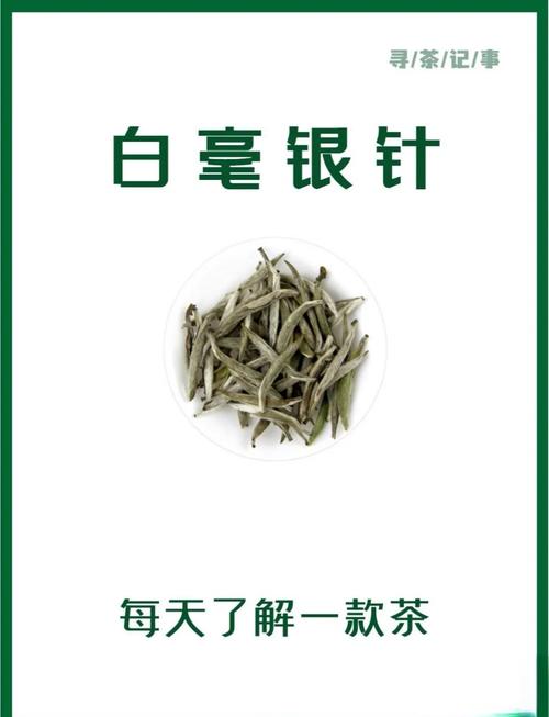 白毫银针什么味道