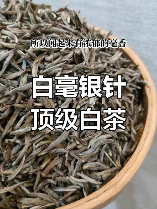 白毫银针什么味道