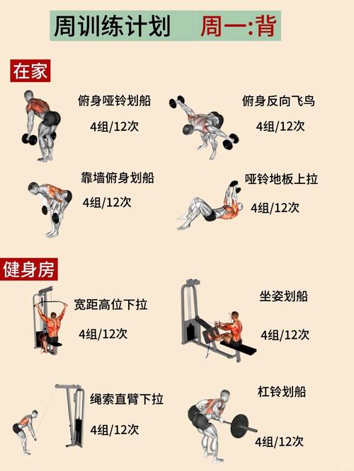 什么时间段健身最好