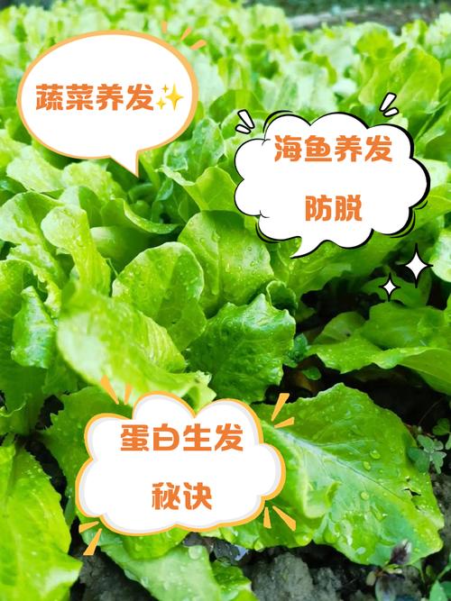 吃什么蔬菜长头发