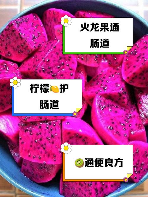 什么水果助排便