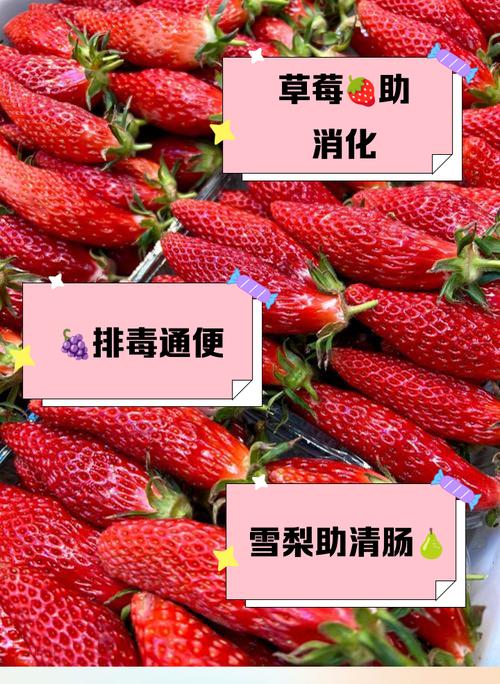 什么水果助排便