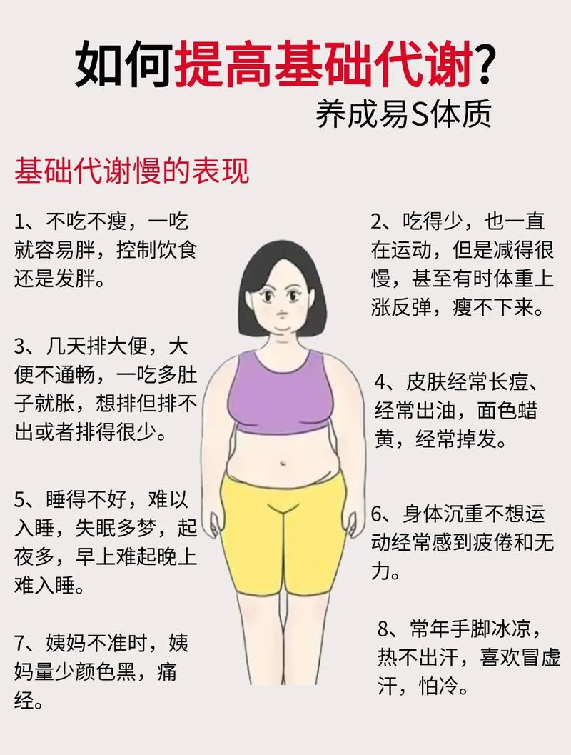 什么体质难减肥