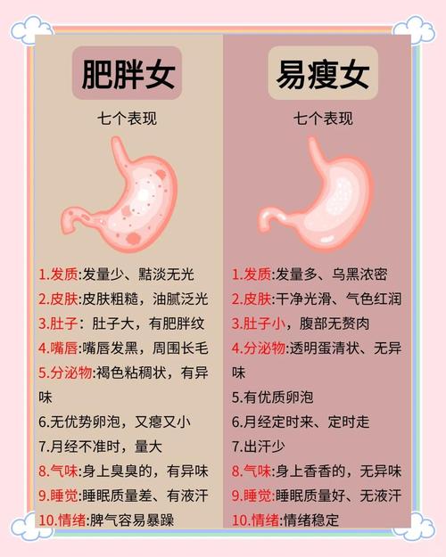 什么体质难减肥