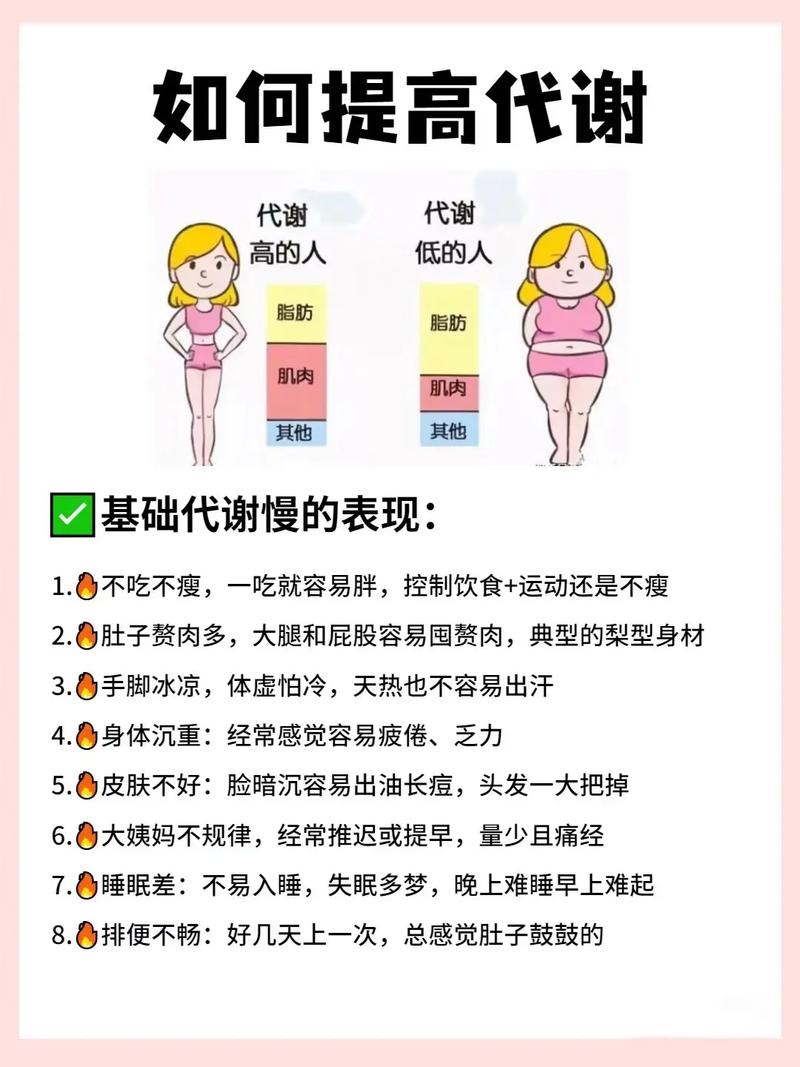 什么体质难减肥