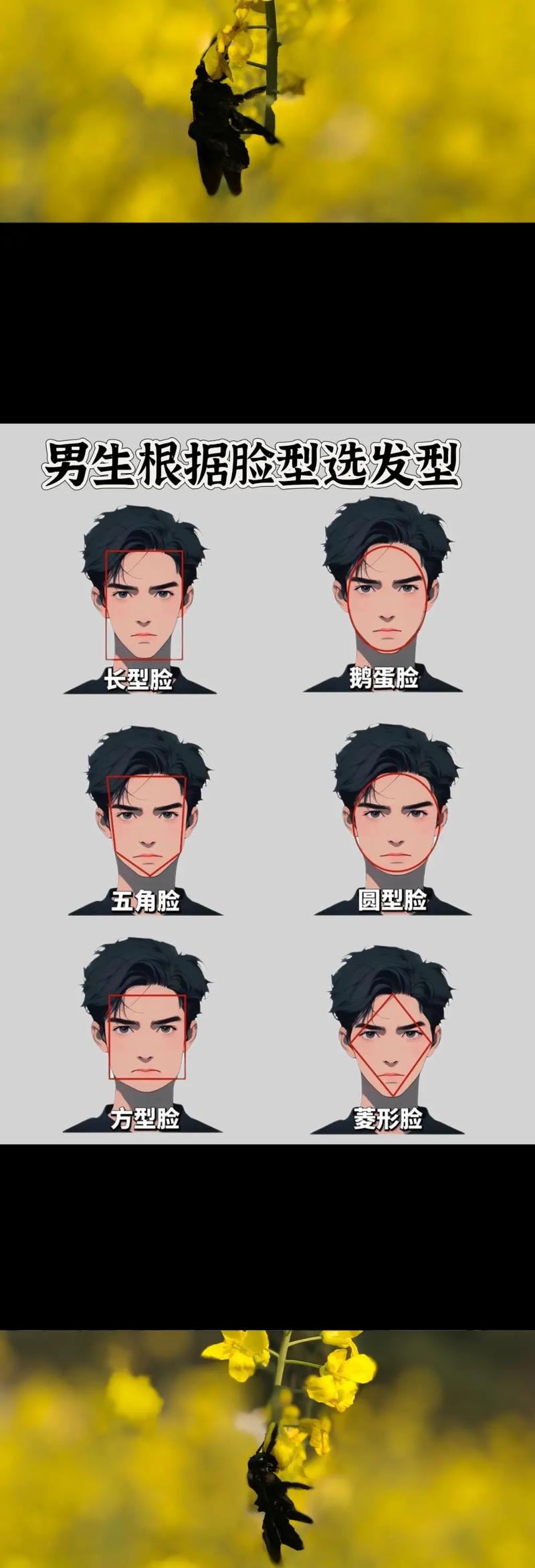 男生有什么脸型