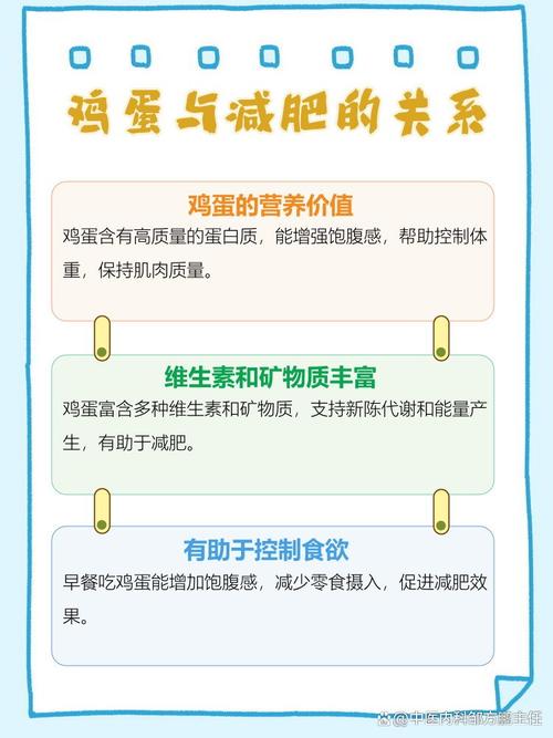 减肥为什么要多吃蛋白质