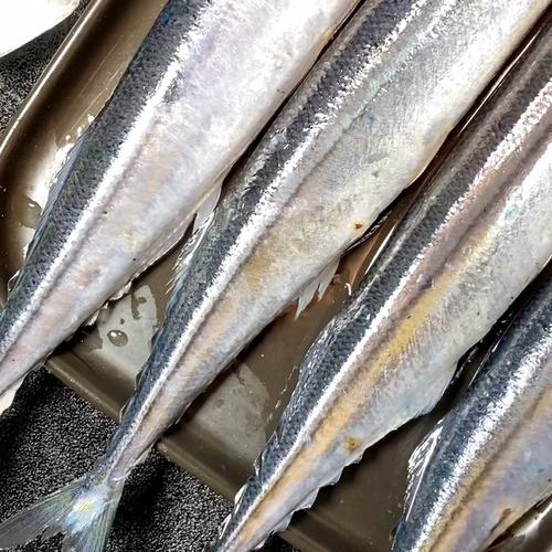 为什么秋刀鱼 减肥