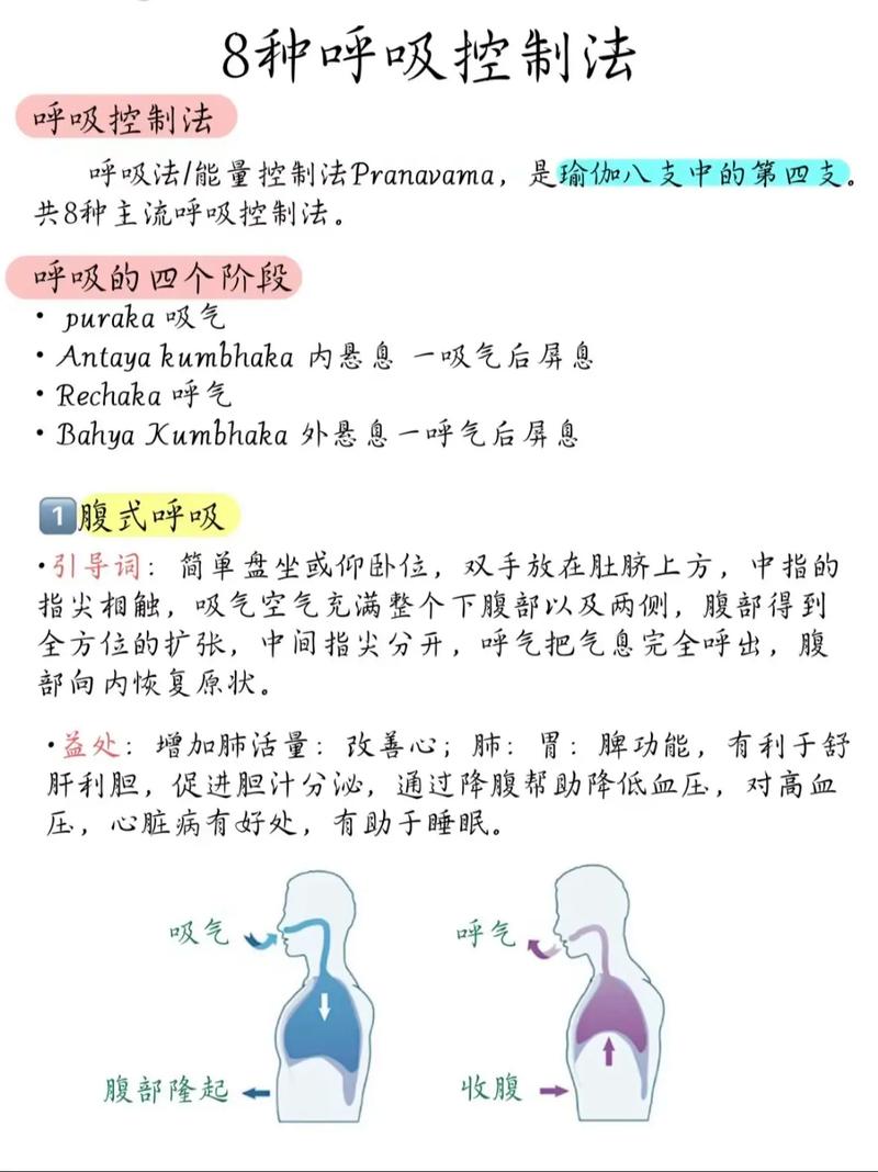 为什么减肥要有氧呼吸