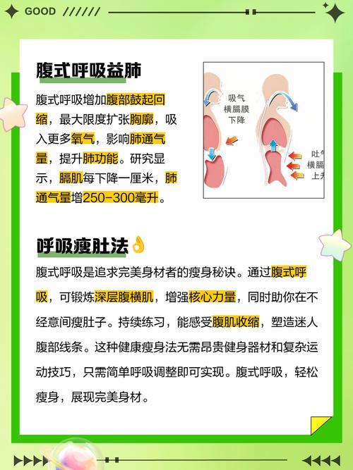 为什么减肥要有氧呼吸