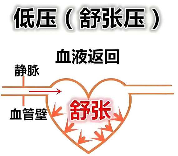 舒压是什么意思