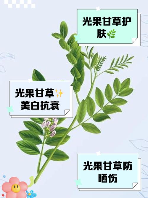 什么中药对皮肤好