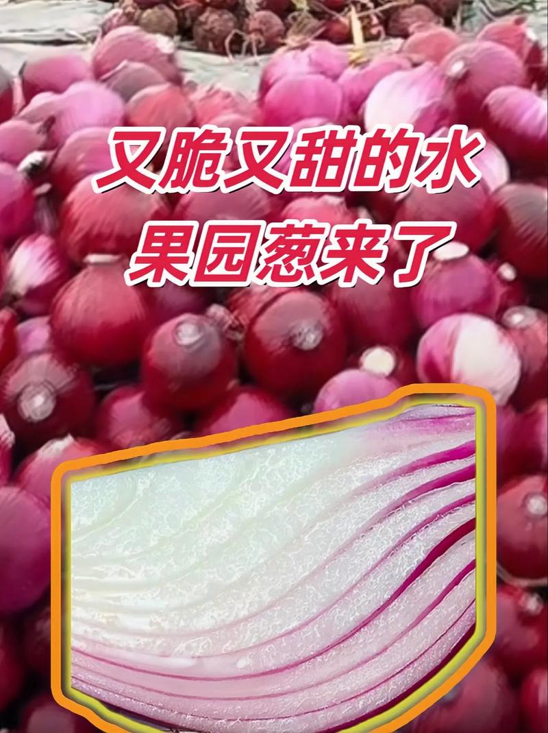 圆葱加什么减肥