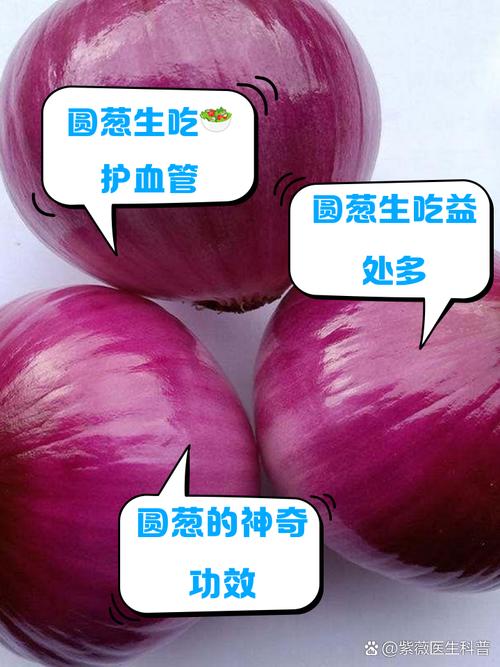 圆葱加什么减肥