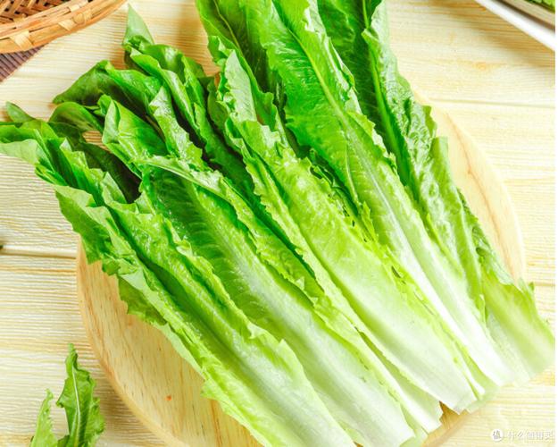 什么青莱可减肥